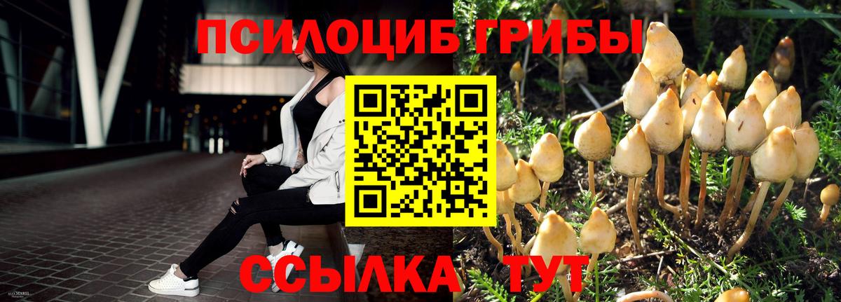 Галлюциногенные грибы мицелий Орск